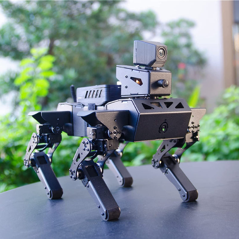 AI Robot Dog